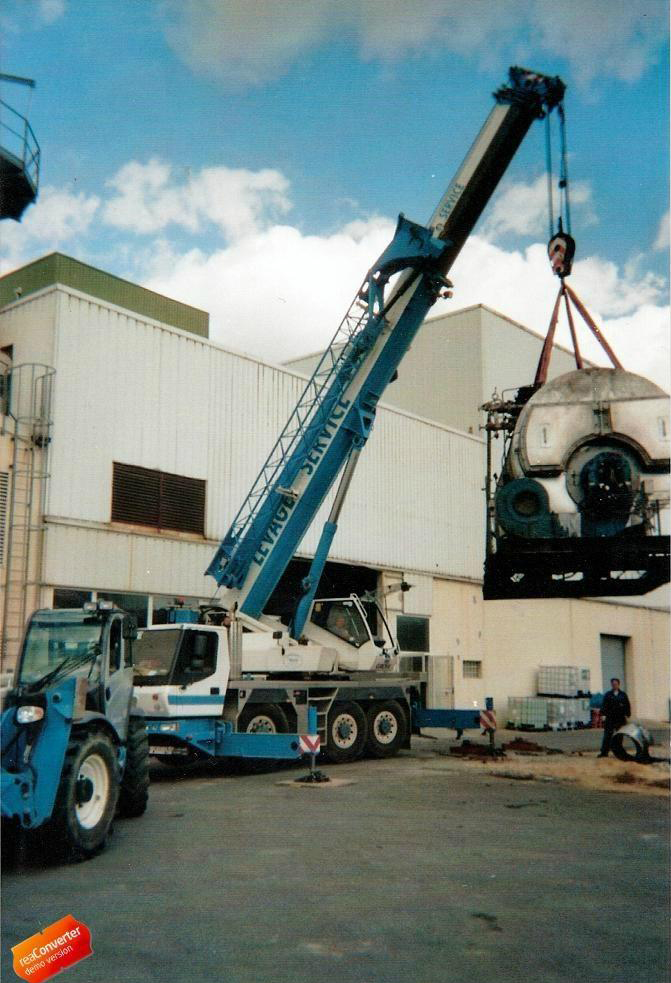 LEVAGE SERVICE Location De Grues Angers Industriels (2) 80